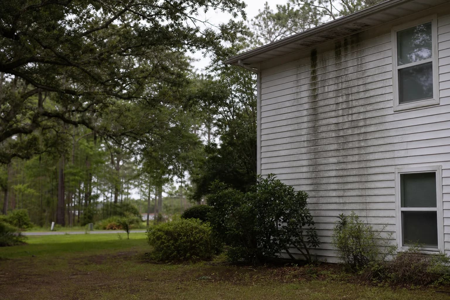 Shaded north-facing house wall with vertical black algae streaks running down the siding from the roofline