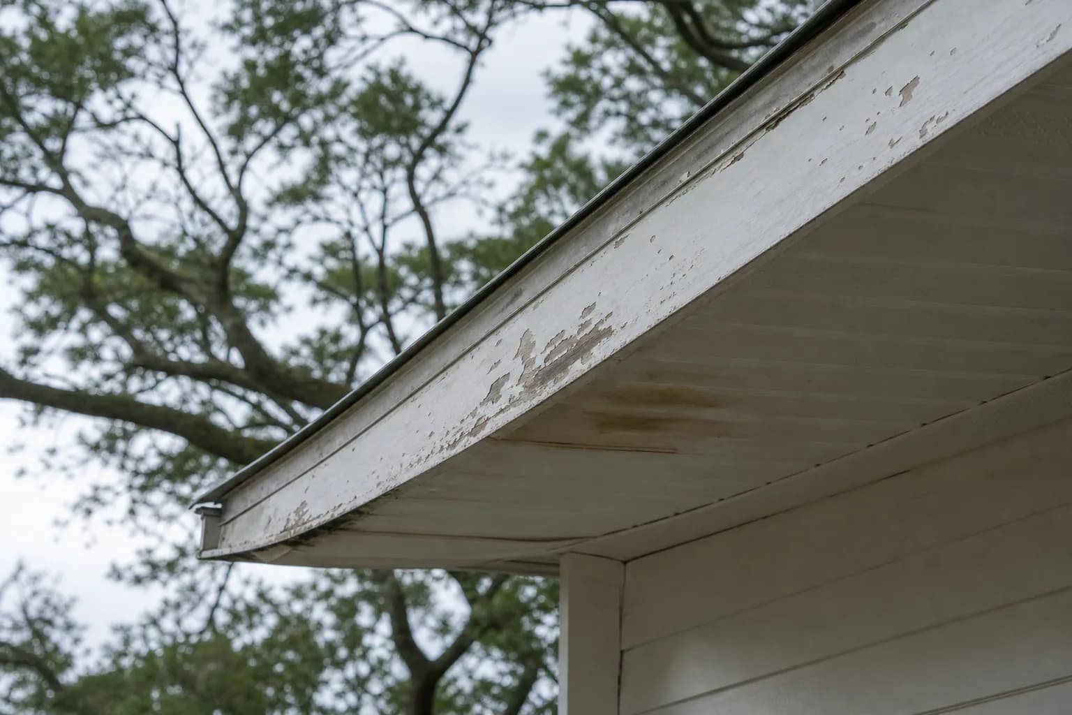 Spotting early signs of rotted fascia and soffit at the roofline of a Gulf Coast home
